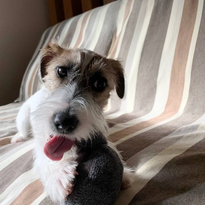 B0a50e76 6415 477e ab01 cbe27276341b 1573694381112