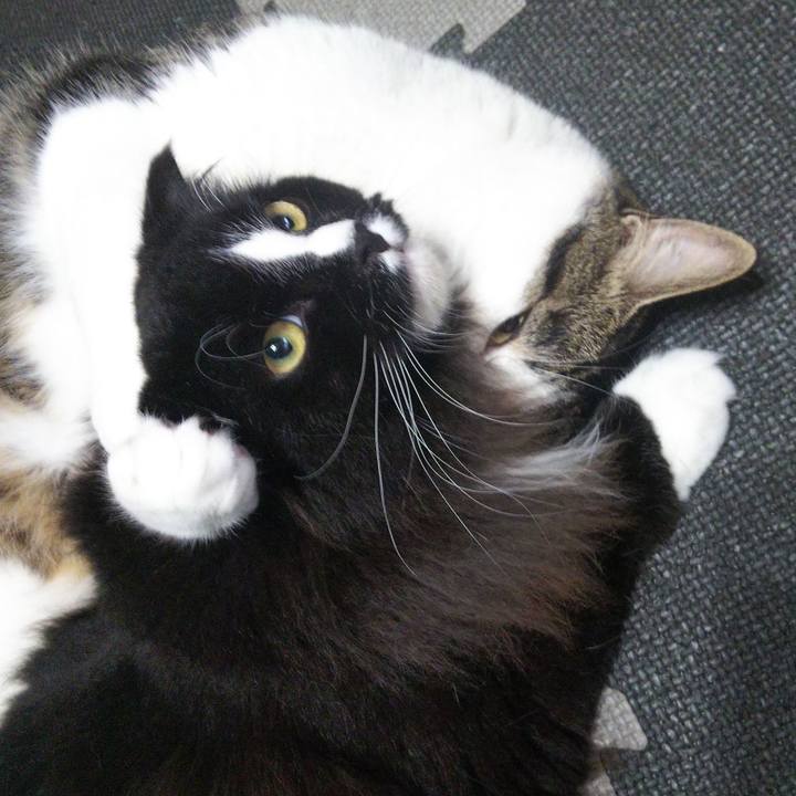 B0a558c1 8df4 40c4 8d08 b7e5f03b884e 1658015429796