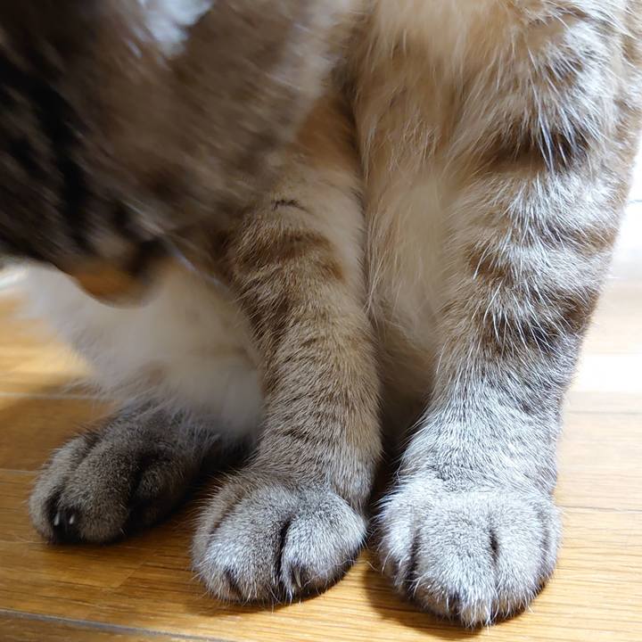 B0a57a95 8eb4 46c2 a037 b72dc2882596 1656068891251