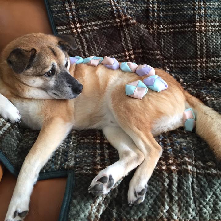 B0a59d2a 3ef4 4aee 9fc1 ea1f0d997c92 1579311530920