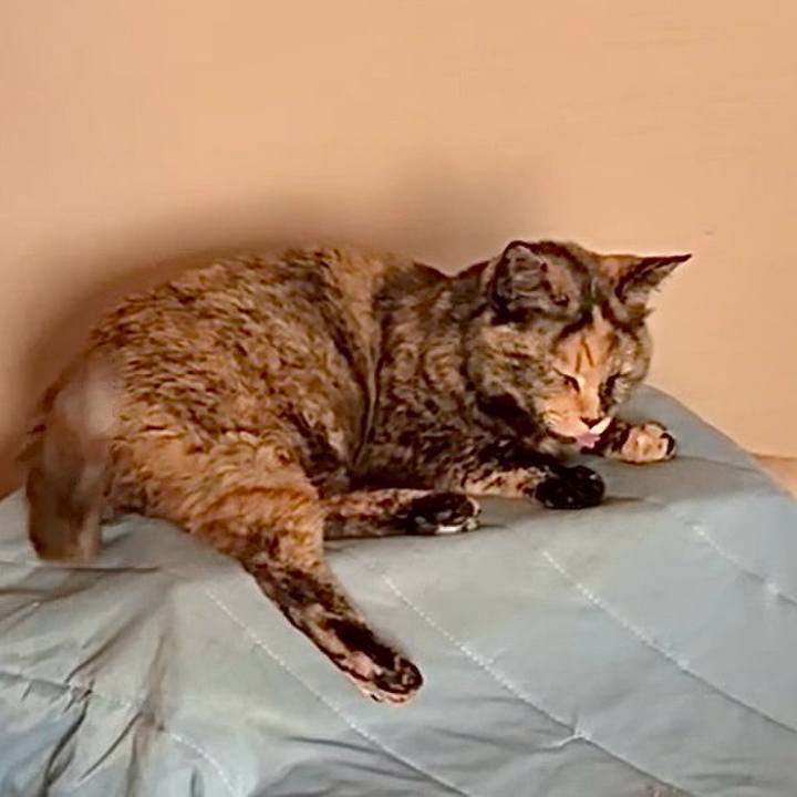 B0a5bf84 d613 47ee 8d31 bed460e16615 1745236566095