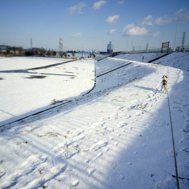 B0a5c9c9 77e1 4e3a bcab c833d2b56a7e 1518494149332