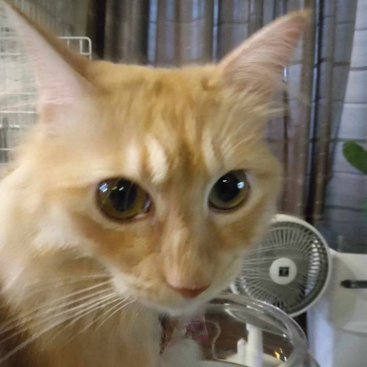 B0a5e3dd d980 4797 98d6 dfe92d07a8bc 1692743230568