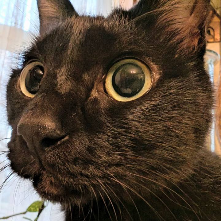 B0a5e8e5 3117 4f54 904f 805d85f2f938 1762555905598