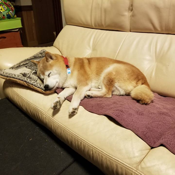 B0a60c38 fb8f 4d64 8732 24368fe5d7f7 1735724181682