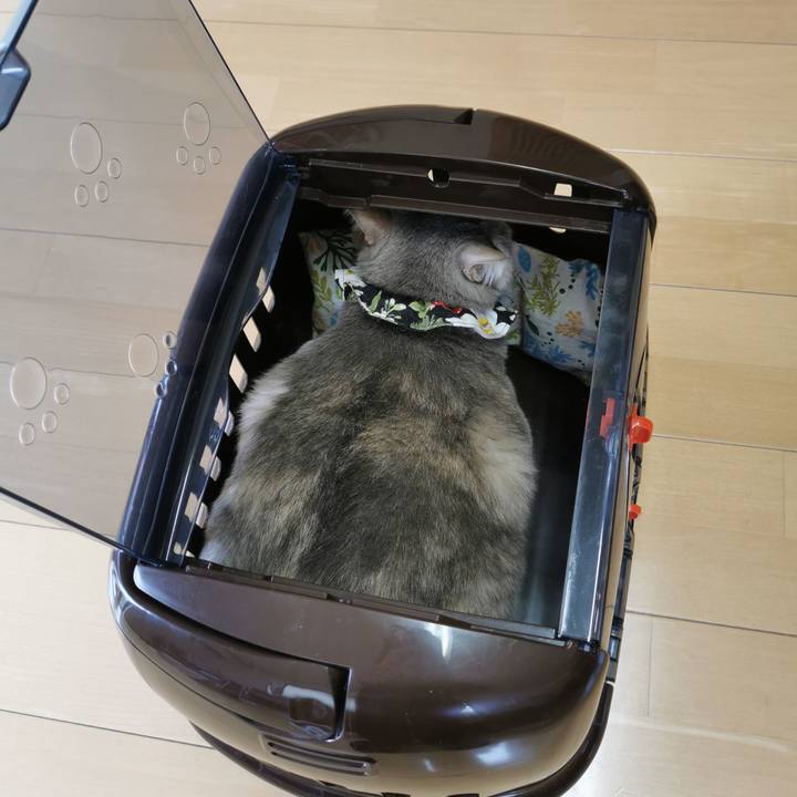 B0a60f6e af51 465b a26e f2e92279d559 1649648536627