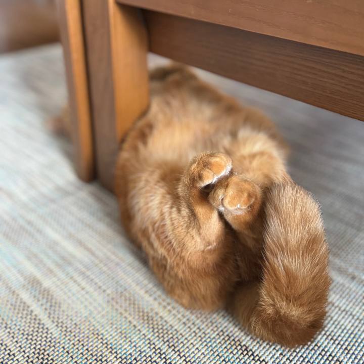 B0a61263 e394 450a aeff 7cae87937941 1731736484069