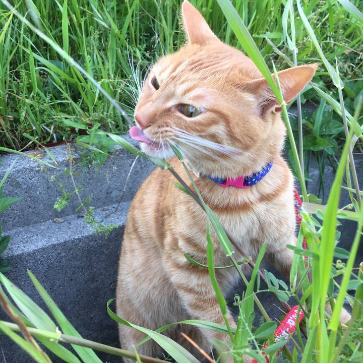 B0a61fee a84e 4ed7 97a2 14bb38961a8a 1524834431825