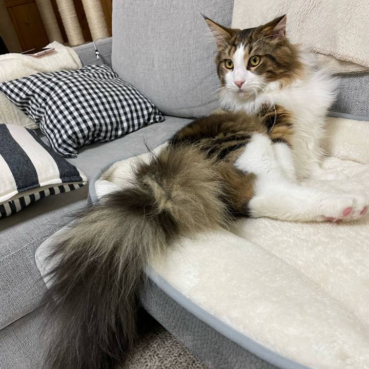 B0a6476b 5bf3 49c3 aab2 4eaeb6de1d0e 1642500039818