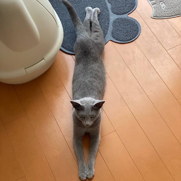 B0a65c8d 87a7 45c1 9090 201c2e6f533a 1627567466432