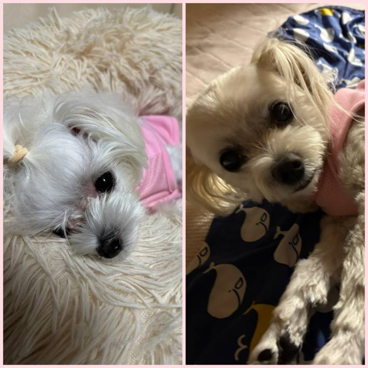 B0a68b80 6e6b 4088 9985 a3d6a8ec8790 1756818596872