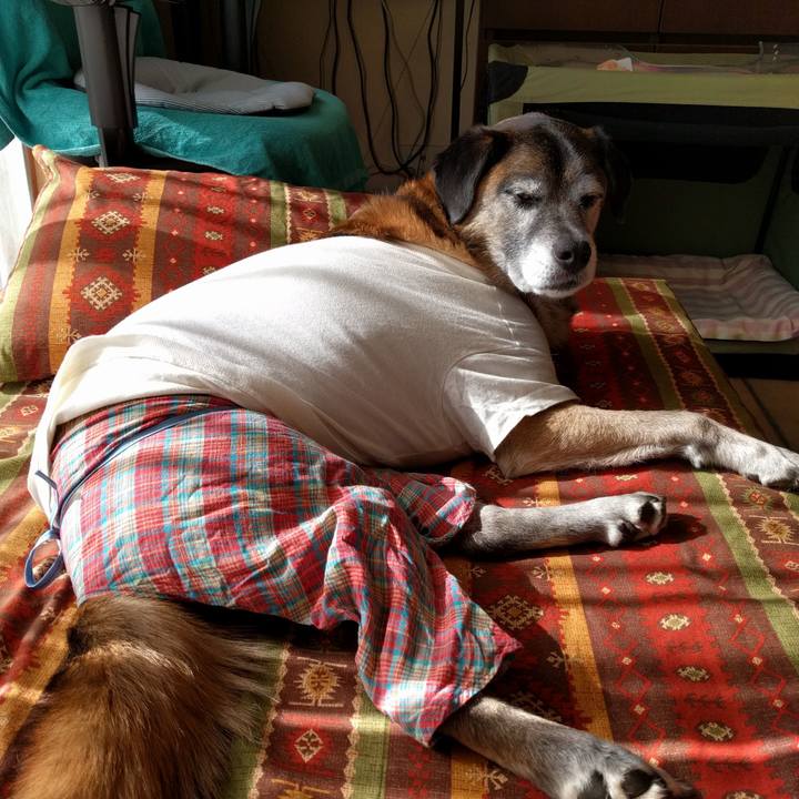 B0a6937e 7fb6 44b4 ad83 4479a367db42 1515725259416