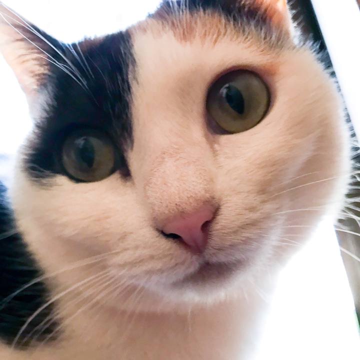 B0a6a57a e10e 4f28 8742 ac7f4f32c037 1521249306519