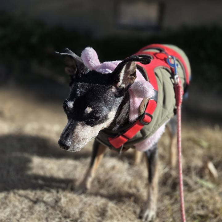 B0a6ab6e f241 4452 aeb8 7af3b12c2e6e 1769042512805