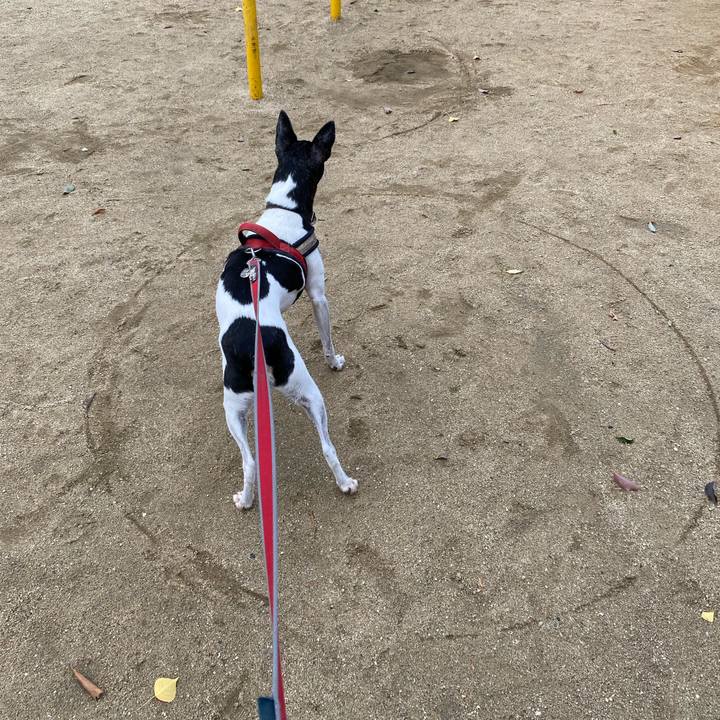 B0a6e294 4f2b 4a39 8335 0b0128016ac6 1605957069127