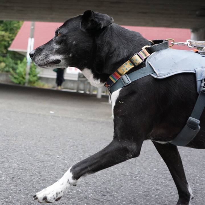 B0a708d7 7da0 46fb 9bf6 cd3f2c4759c1 1760140908530