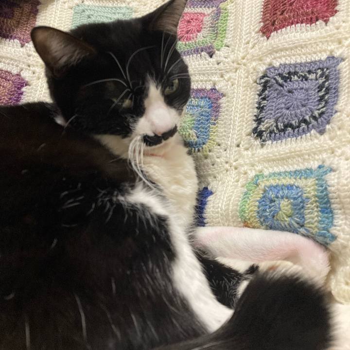 B0a73668 5631 4f8e 8151 a8ad312bc5bd 1767104795129