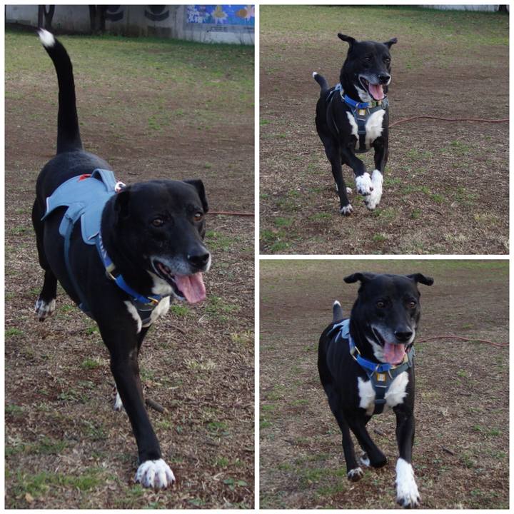 B0a73903 c373 4a58 95fb c70c5c9a3907 1710637668029