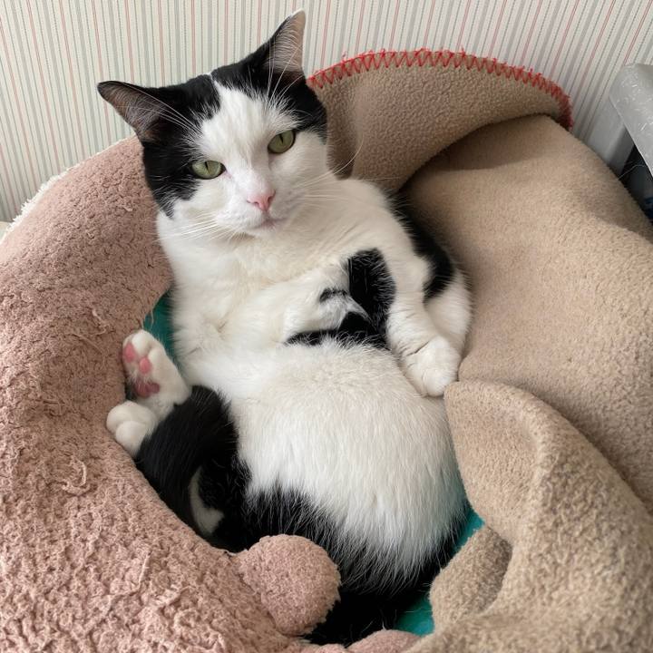 B0a73da6 023c 40a2 b77b 064099e8a227 1762558430983