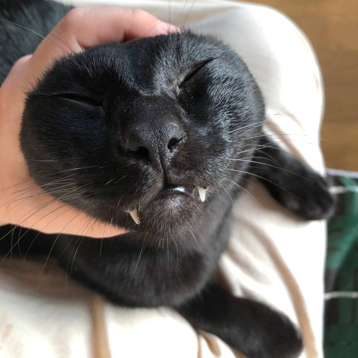 B0a79568 1454 457c a0d5 87354e12ba73 1696801261657