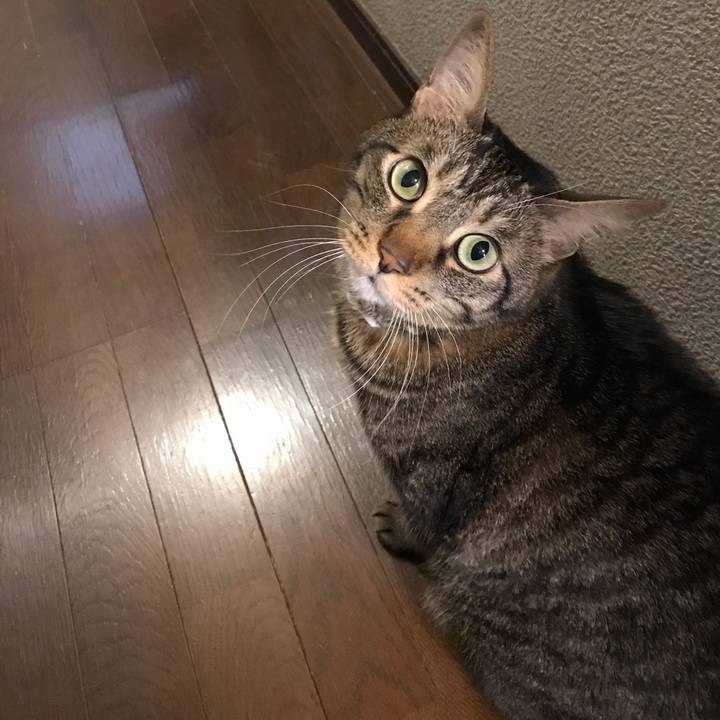 B0a798c5 e26c 4622 8b59 f7376d1150f9 1578585508930