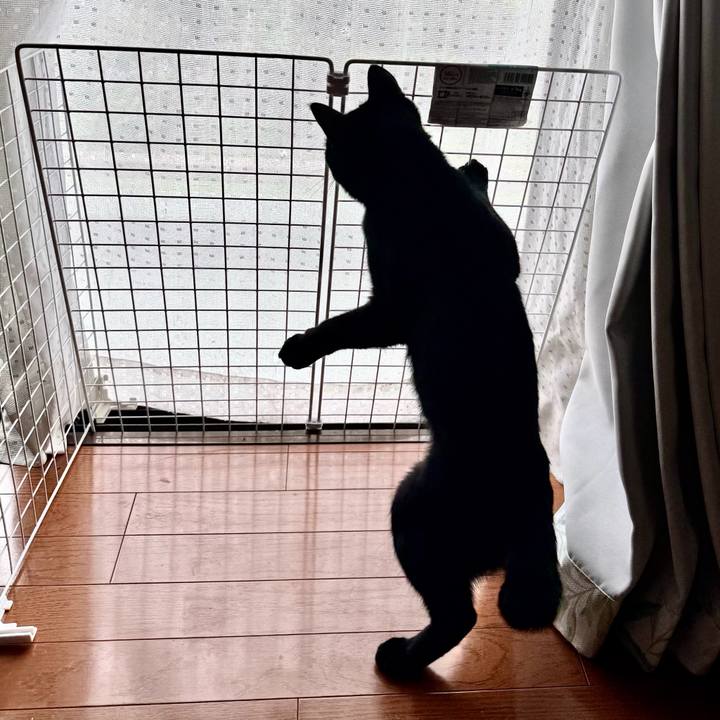 B0a7a1c1 4010 458f adcf 3bdf8bbffcc2 1752286503491