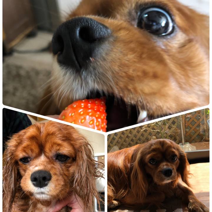 B0a7a621 192b 4b85 ad2e 9080c56a907e 1554610384563