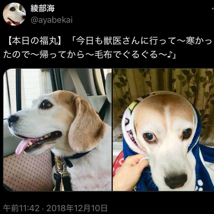 B0a7d28a a321 4fcf ad34 5caaabb87061 1733788399517