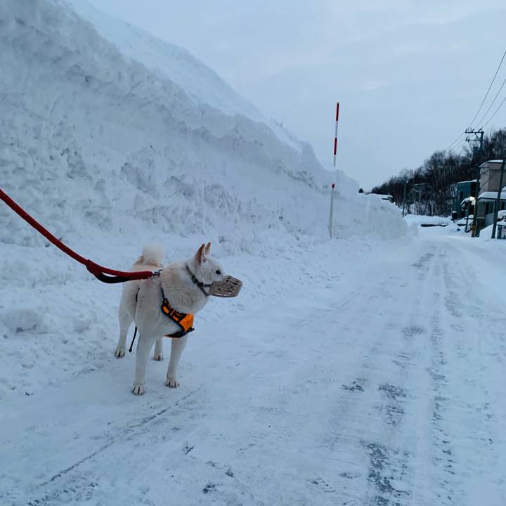 B0a80e3a d414 4f02 abc2 981f1be583c7 1673993169267