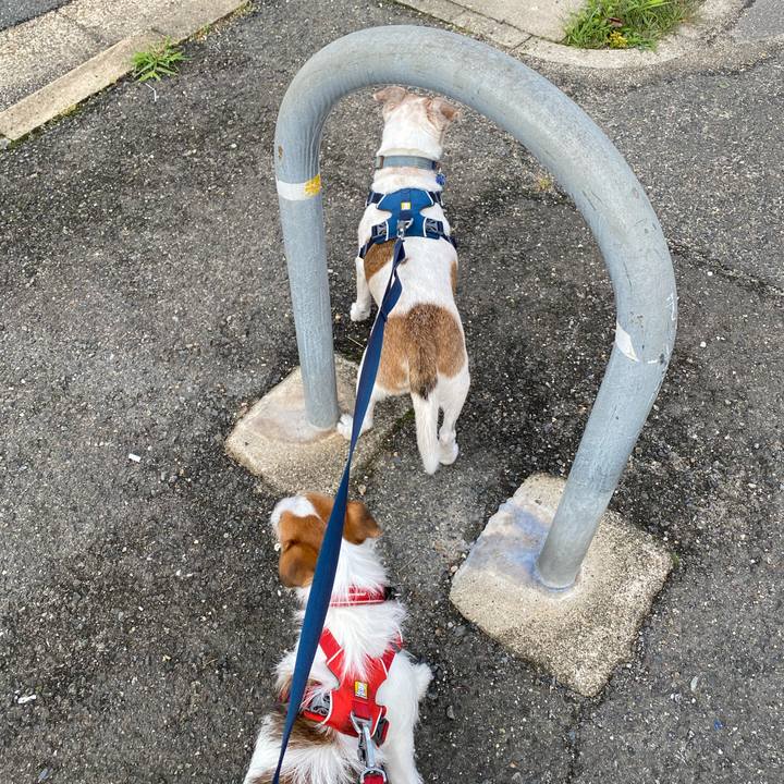 B0a83172 76c1 465d bd69 6f599af45ec7 1654607385660