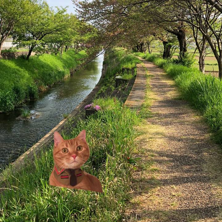 B0a83e24 7dae 42b9 9682 18f056041224 1558051041815