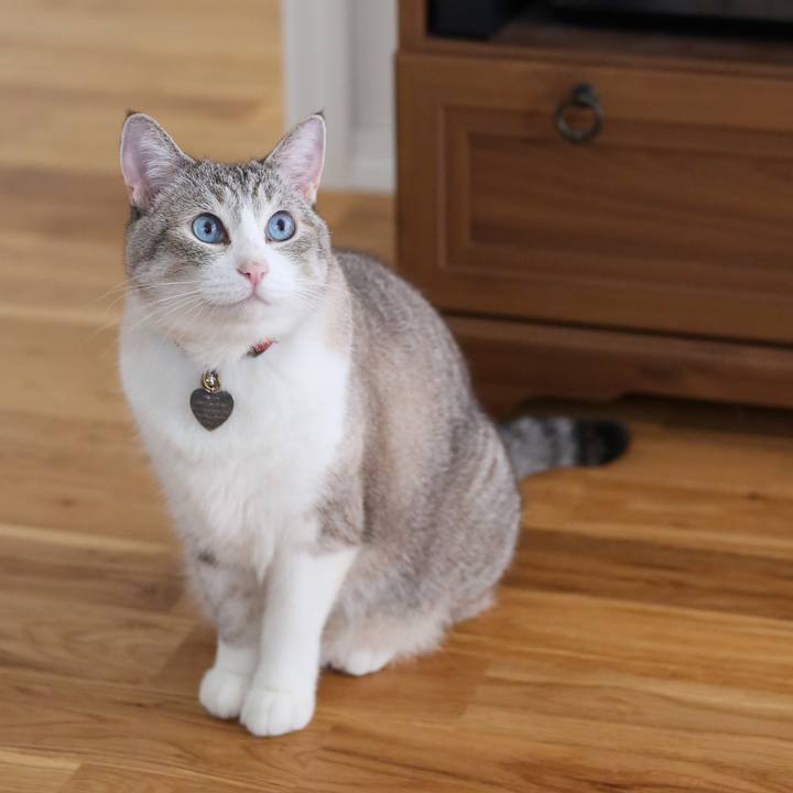 B0a8a002 57f1 4cbb 8cca 9106e18b5940 1688361959419