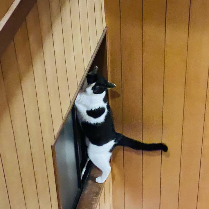 B0a8a1f4 afbb 4fcf 9b3f 8fe34031d2d3 1632968079960