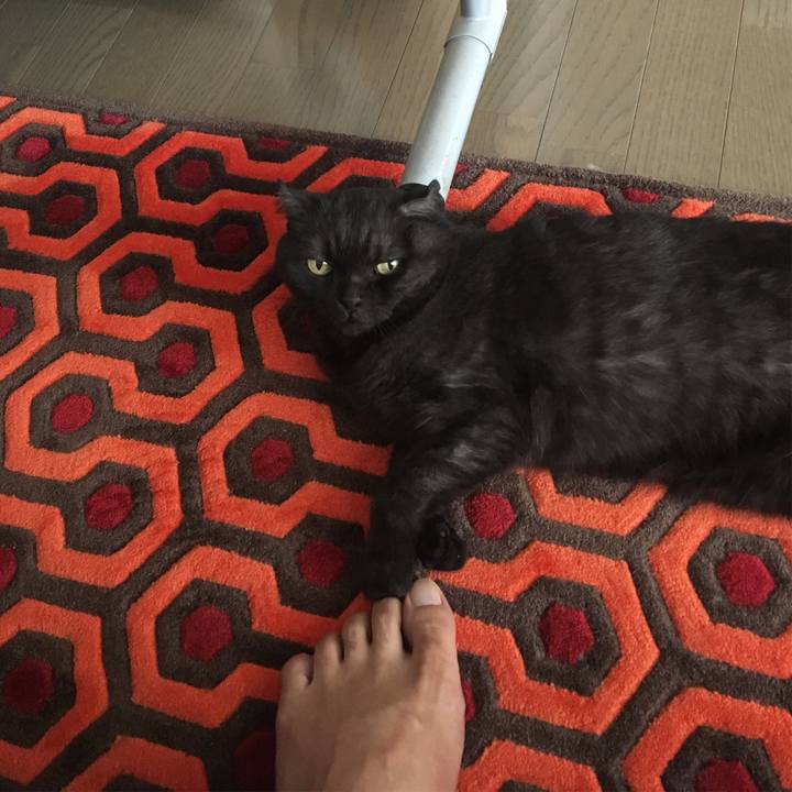 B0a8a690 901e 4bbd 9bec 76332b6d9e75 1534735135263