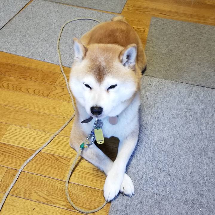 B0a8c178 7c9e 4fa0 aaf0 f27bf2b5a74b 1638848377692