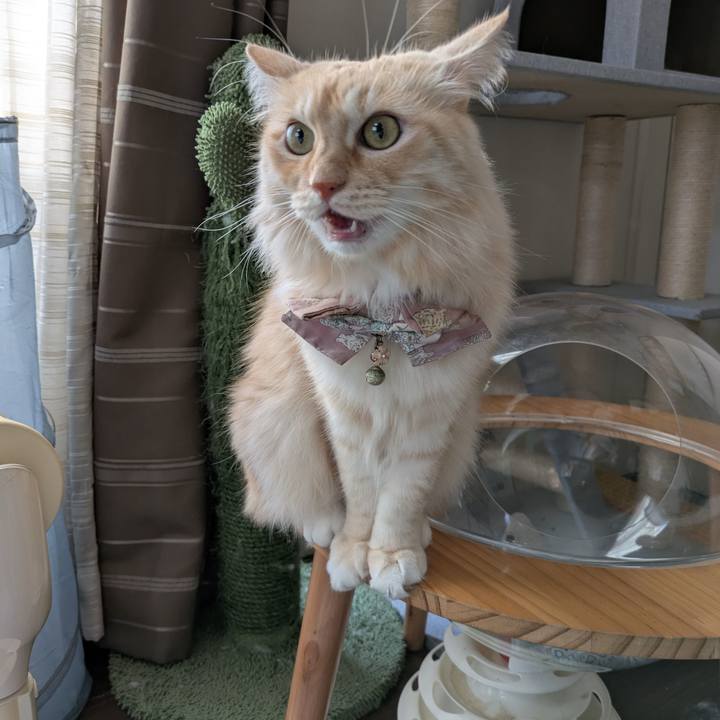 B0a8c4b2 4b4c 49b4 8493 e3c5386ac473 1733383333881