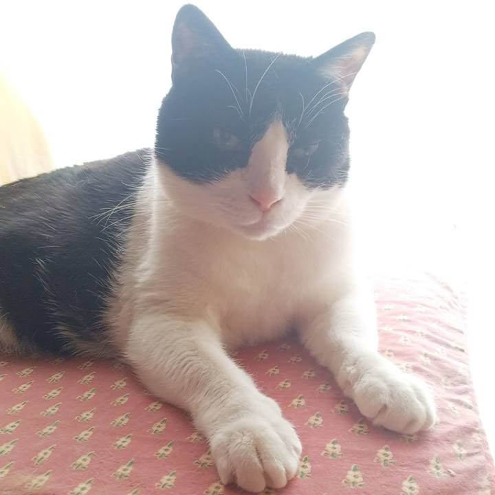 B0a8d17e d9c5 4ab7 890d 062576baf18f 1551499230794