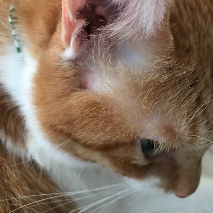 B0a8f228 57b2 4d65 85c5 b7beb1123bc4 1570144923923