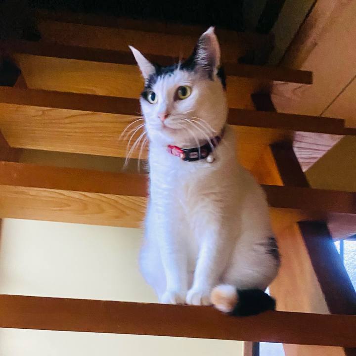 B0a904ca 66c2 4e59 91f2 320f8c15d5f4 1662930372202