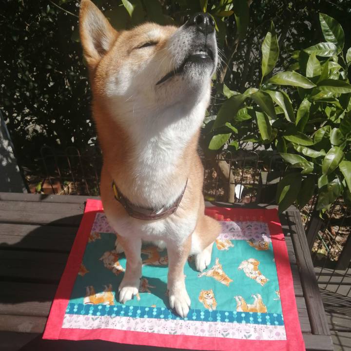 B0a938c8 ae25 40b6 a090 53a1f4ff7e2f 1583378283676