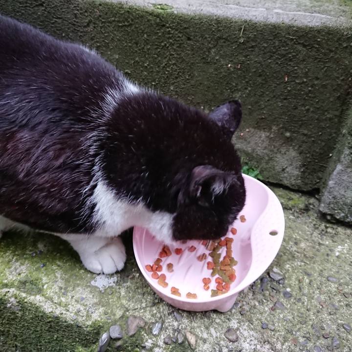 B0a97121 ae35 4e62 9d45 17c33ba62c29 1686217176842