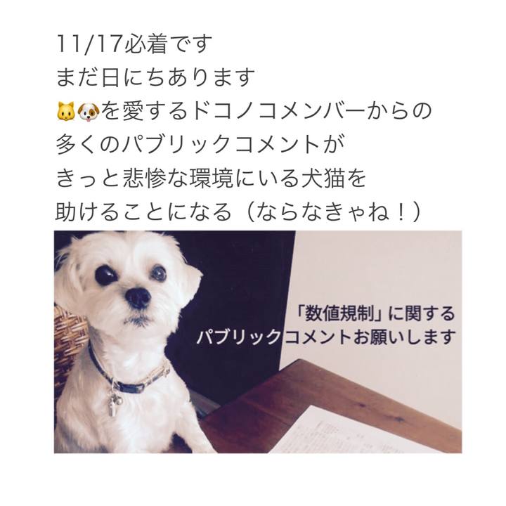 B0a990a9 8999 41fb 8475 c35648da7047 1604711096229