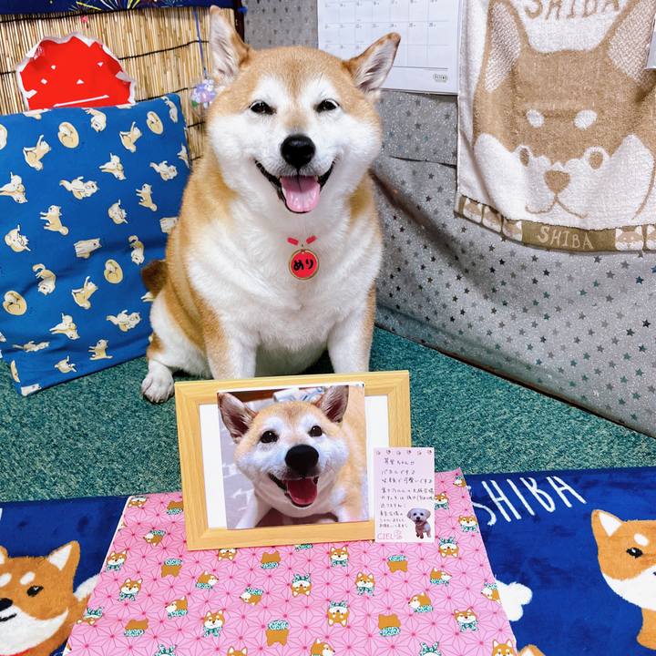 B0a9e668 d088 4179 9a50 8303fe0da130 1691734150228