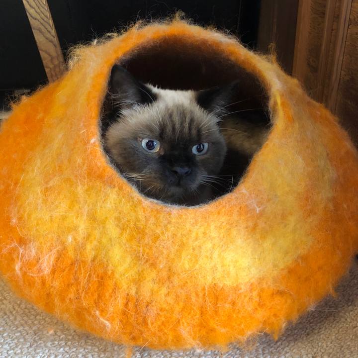 B0aa0f26 7ec4 4813 8e37 c4ec8a64a689 1602900040863