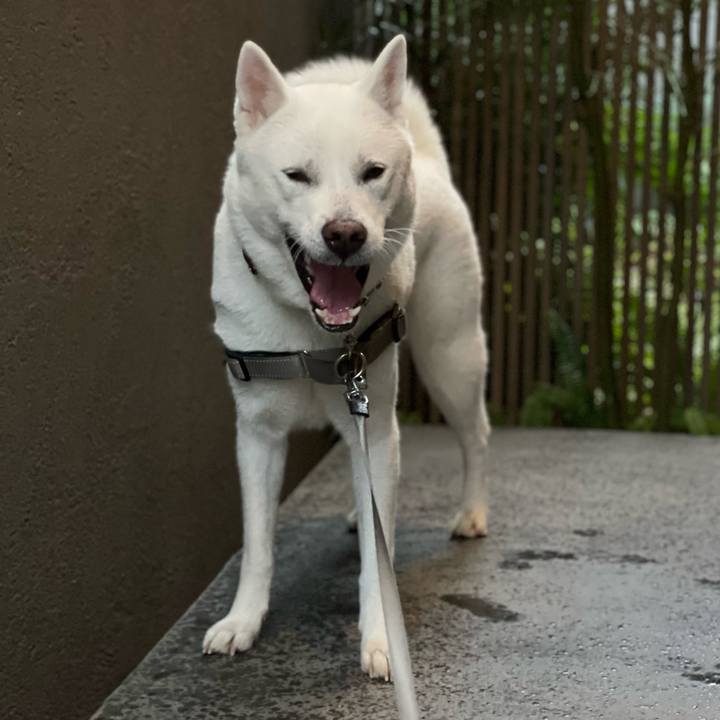 B0aa11ee e16f 4f94 9449 9ba7585169cb 1643686485583