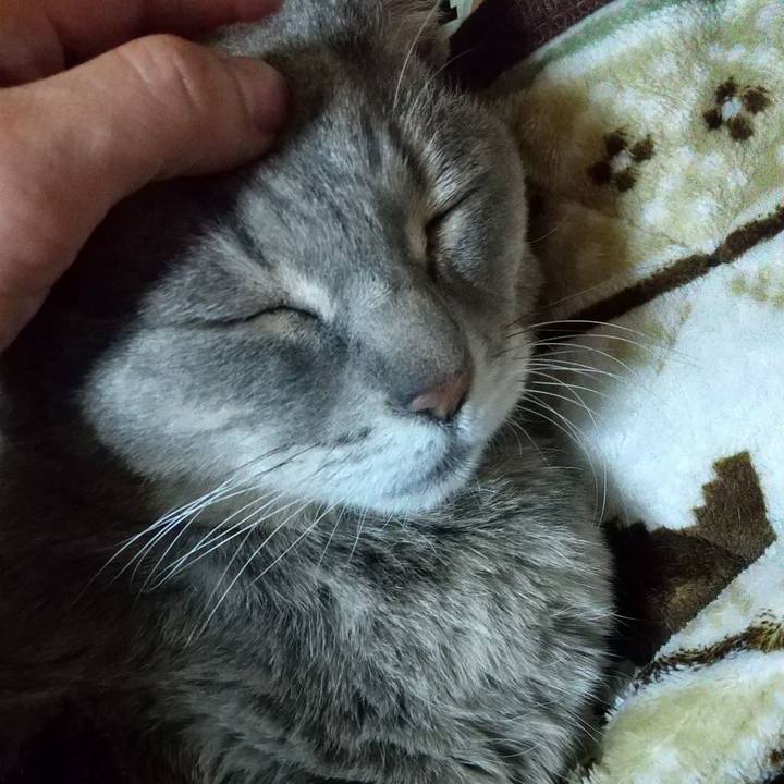 B0aa37e1 1eaa 4c22 a80a 679e45cbb52e 1611571127265