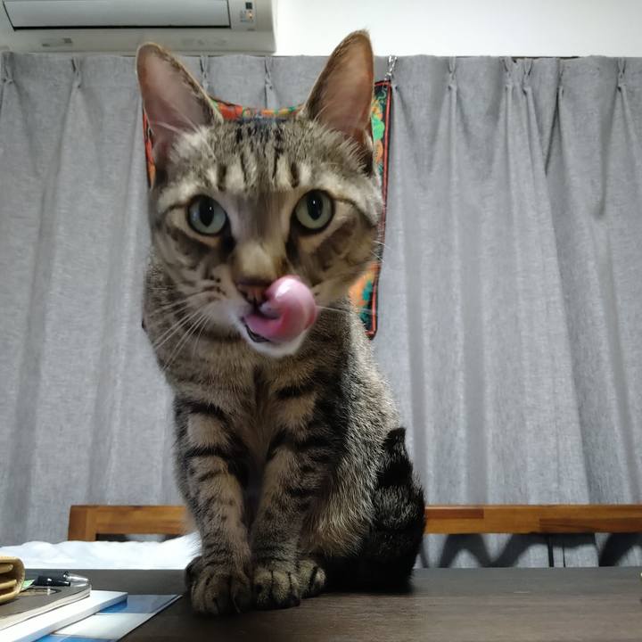 B0aa3bec 800a 4980 bac8 35b7e5edc776 1699088820728