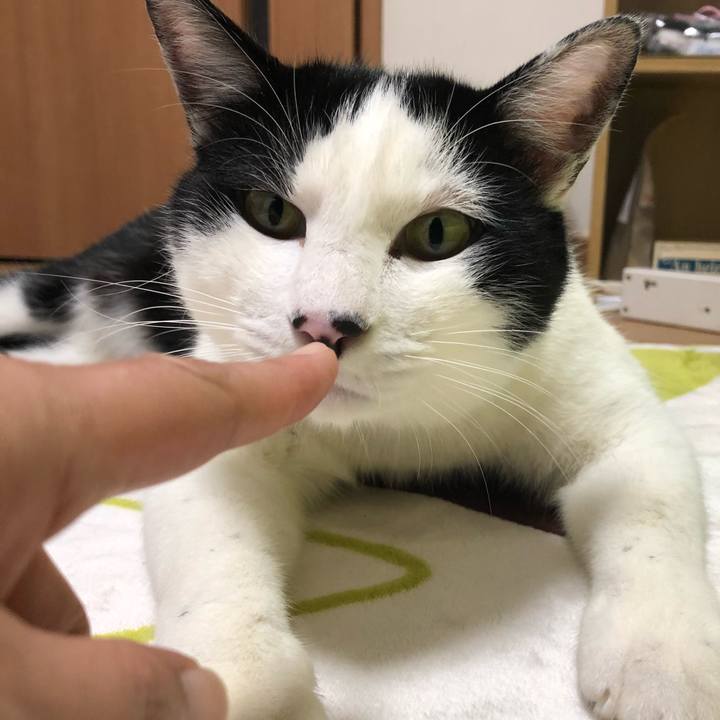 B0aa7942 b97a 4935 aeb0 7caa80b82b4f 1546443784147