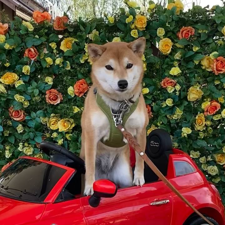 B0aa829a b20e 4d1c ba61 a564fc2a4e81 1644650982473