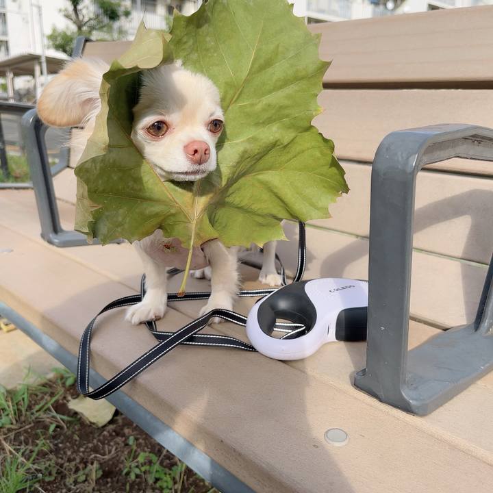 B0aa9546 8dff 40bb a7f2 539e7331e934 1731313234568